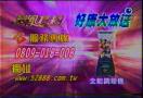 ��02-2924-2606�]����10 ) ��p�j �Ρ@�ȪA�� �� email �P�ڭ̳s���I